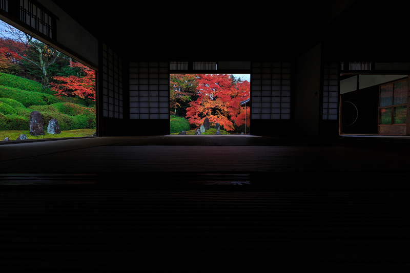 Finale!京都の紅葉2014　光明院・散り景色_f0155048_2111409.jpg