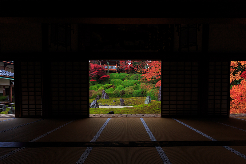 Finale!京都の紅葉2014　光明院・散り景色_f0155048_2127574.jpg