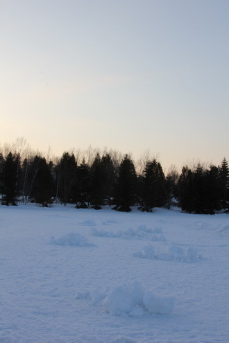 e0324053_20433003.jpg