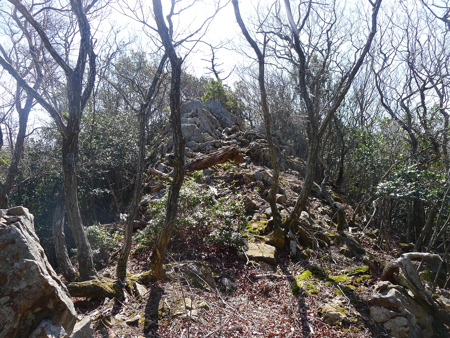 太太山（341ｍ）～坪背山（360ｍ）単独藪漕ぎ縦走_d0007657_1822268.jpg