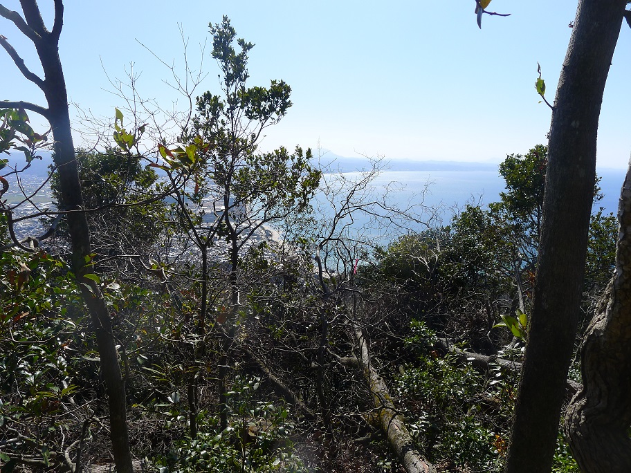 太太山（341ｍ）～坪背山（360ｍ）単独藪漕ぎ縦走_d0007657_18254422.jpg