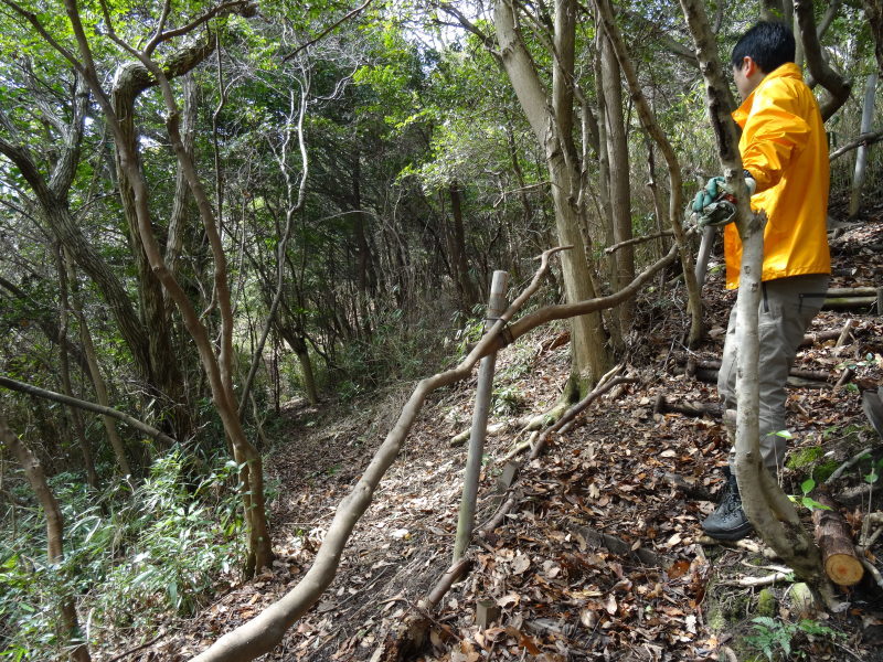 ぼうけん山の新山道の確認 in うみべの森_c0108460_15554755.jpg