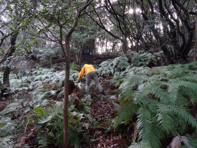 ぼうけん山の新山道の確認 in うみべの森_c0108460_15554947.jpg