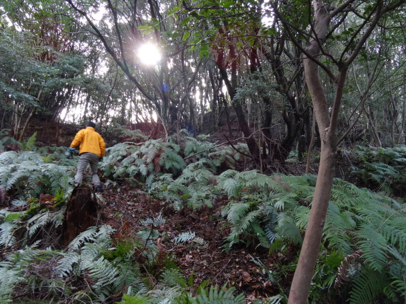 ぼうけん山の新山道の確認 in うみべの森_c0108460_15555342.jpg