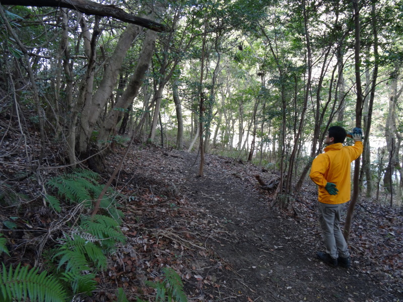 ぼうけん山の新山道の確認 in うみべの森_c0108460_15555652.jpg