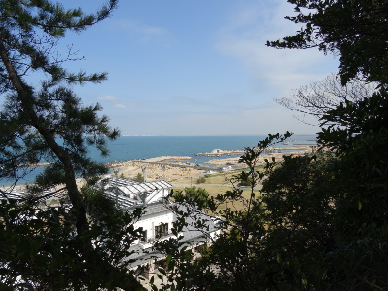 ぼうけん山の新山道の確認 in うみべの森_c0108460_16260272.jpg
