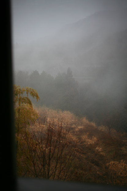 b0011771_01628.jpg