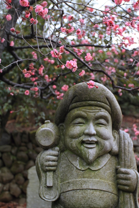 甲州　放光寺　紅梅香る_f0115475_2214542.jpg