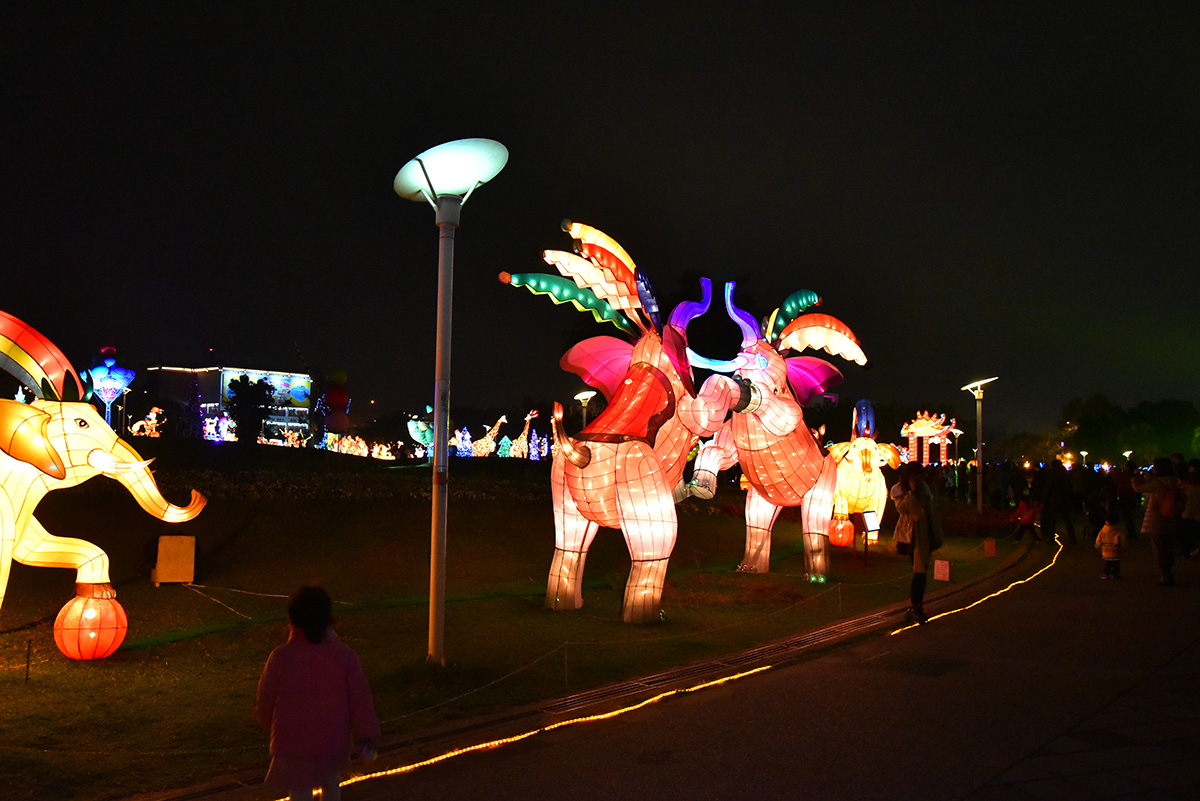 臺北燈節を見に臺北花博圓山公園に行ってみた_a0112888_18493676.jpg