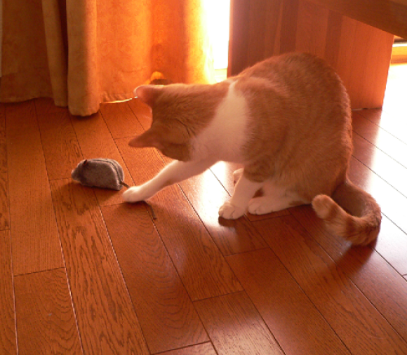 a0333195_16001707.png