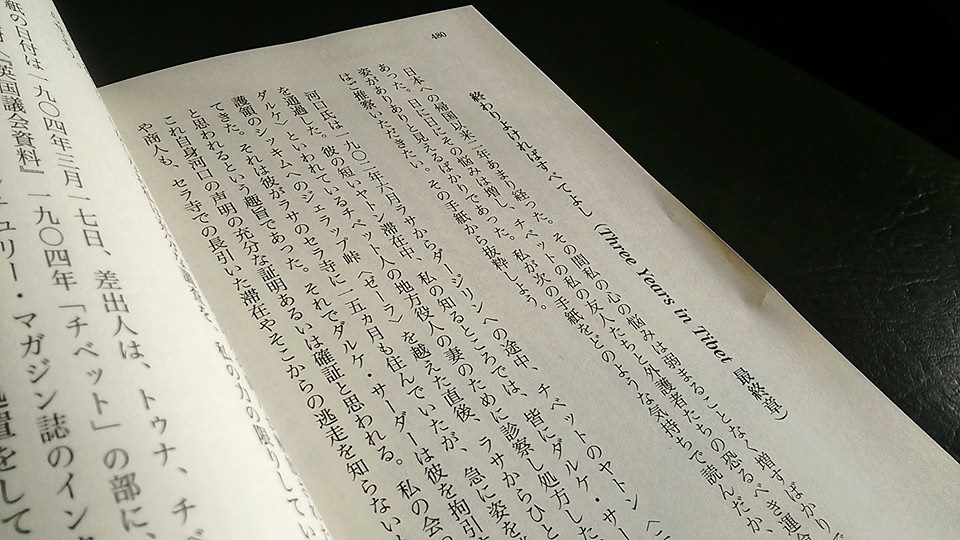 チベット旅行記の再構成版!_e0111396_18411878.jpg