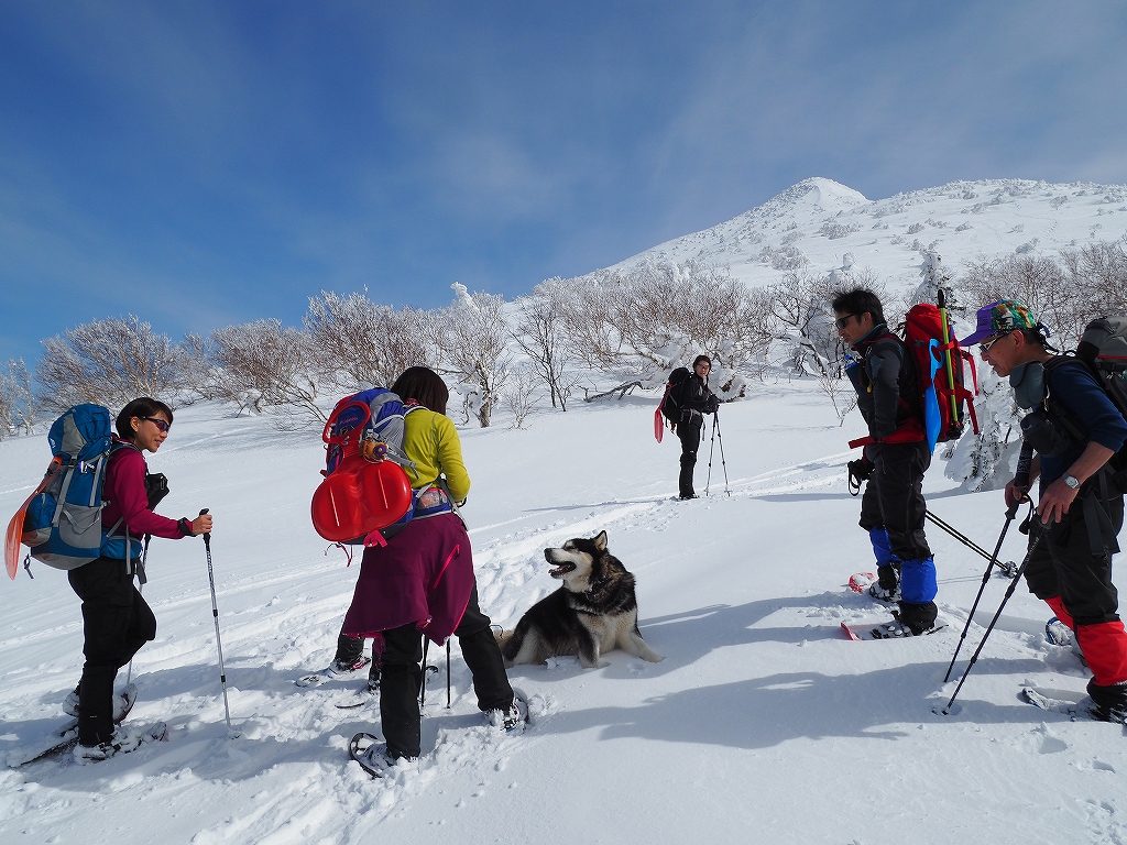 徳舜瞥山、3月8日－速報版－_f0138096_18312484.jpg