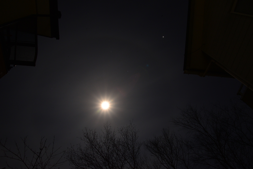 b0228502_133668.jpg