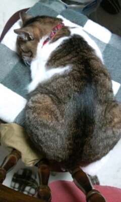 8日間の大冒険。_b0334704_13374559.jpg