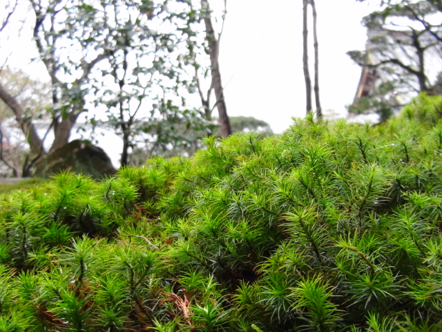 f0231709_0274875.jpg