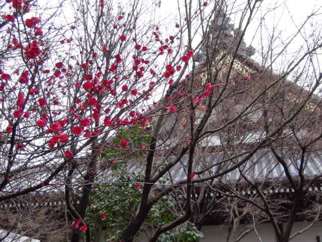 f0231709_0284084.jpg