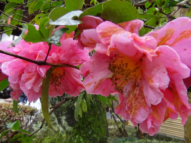 f0231709_0551460.jpg