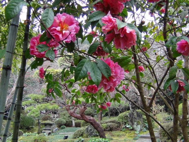 f0231709_05615.jpg