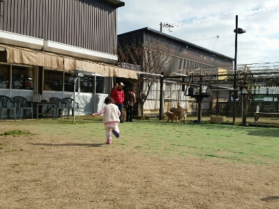 e0136815_1271569.jpg