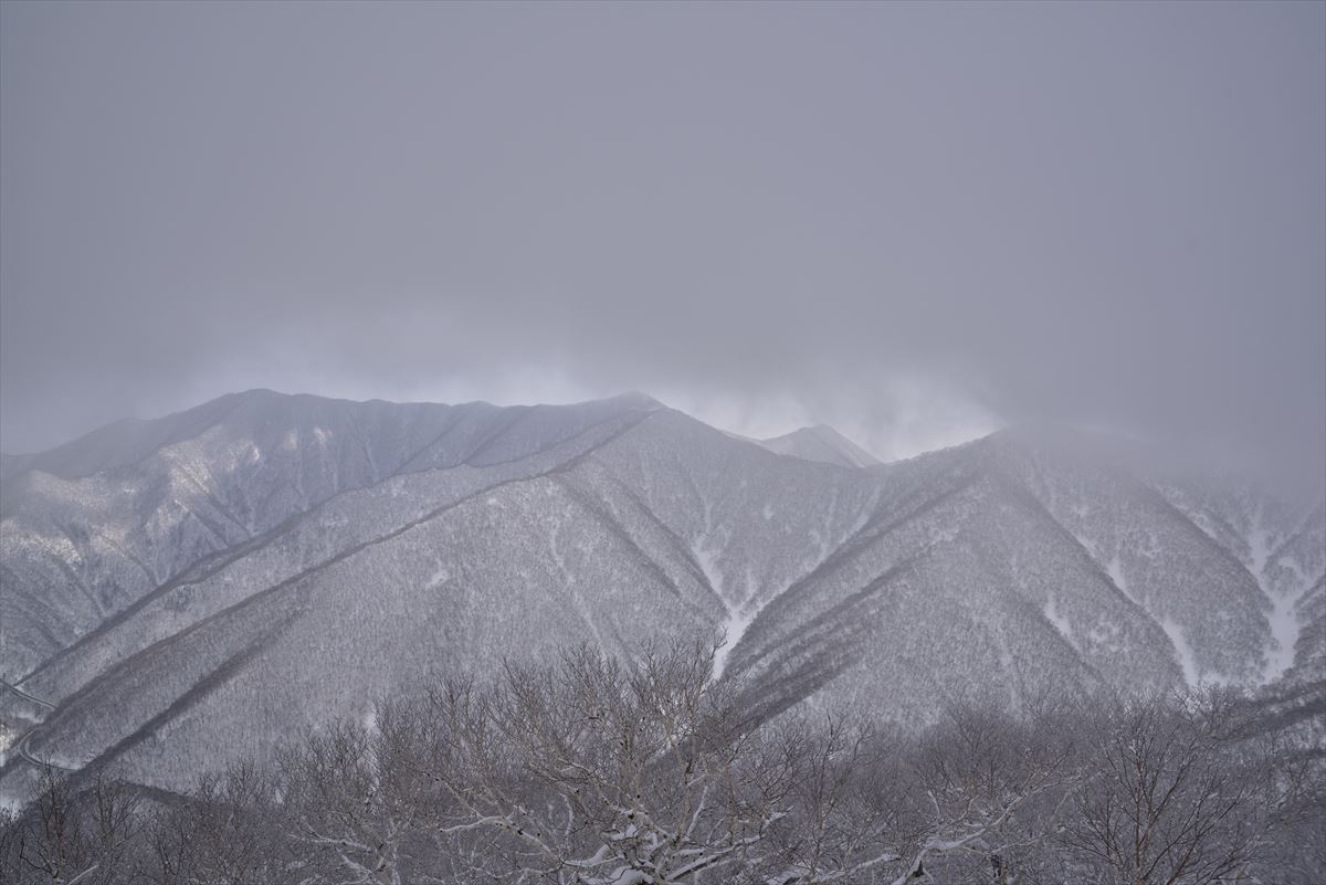 トヨニ岳敗退　2015.3.8_a0145819_6354870.jpg