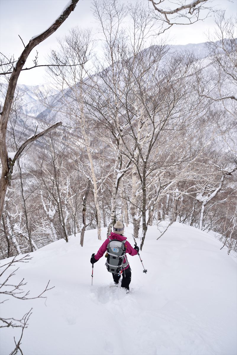 トヨニ岳敗退　2015.3.8_a0145819_822196.jpg