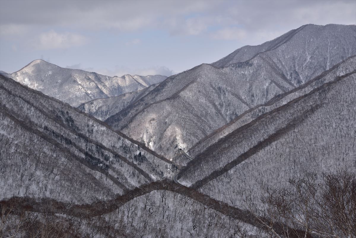 トヨニ岳敗退　2015.3.8_a0145819_8232255.jpg