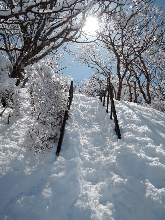 頂上ヒュッテは　深い雪に埋もれています。昨日の情報です。_c0089831_141368.jpg