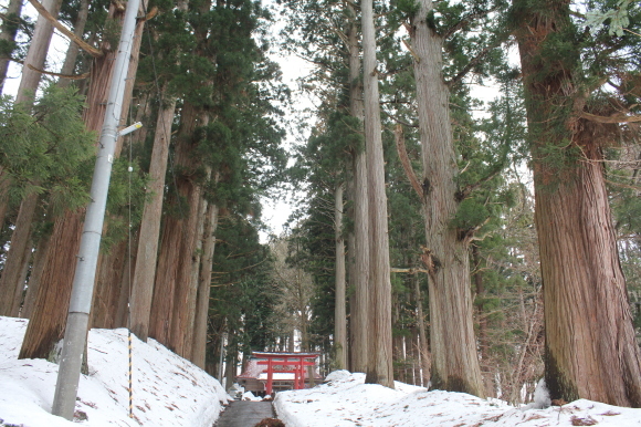 巌鬼山神社_c0332238_10301208.jpg