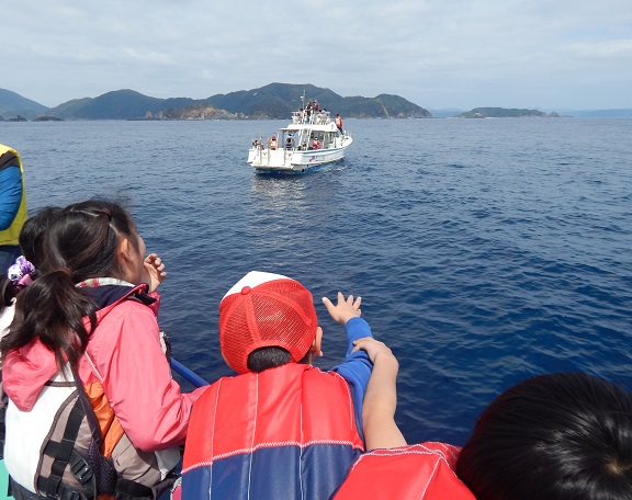 イルカ&クジラ見つけ隊☆_f0062839_211481.jpg