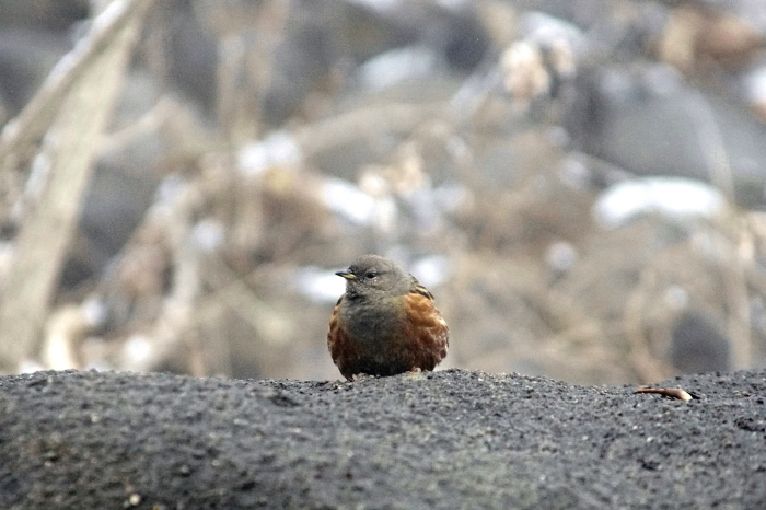a0324247_20075336.jpg