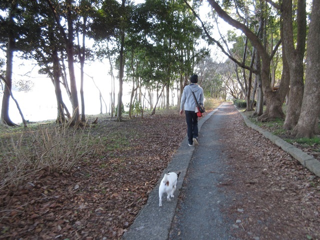 ３月２日　浜松日帰り旅　その２_f0100871_11290944.jpg