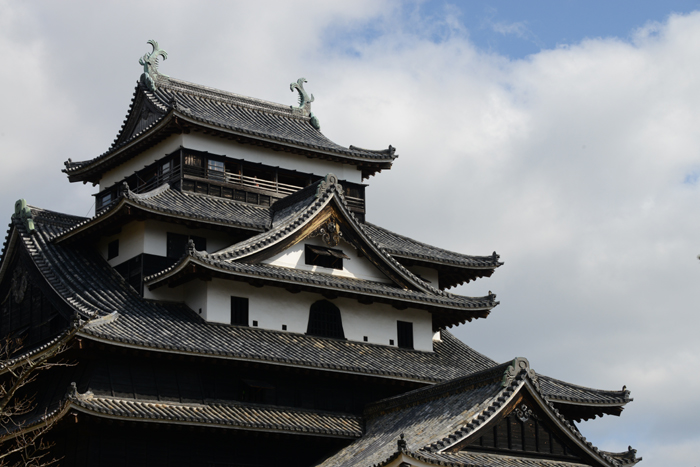 松江城写真_e0171573_1643944.jpg