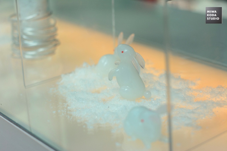 March 13, 2105 雪解けうさぎたち Rabbits in Melting Snow_a0307186_6554414.jpg