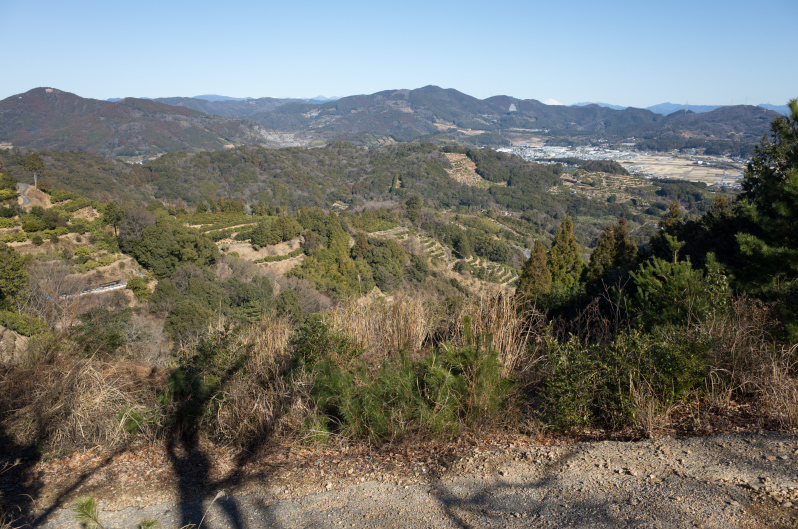 a0142487_21101413.jpg