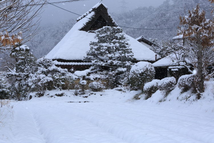 樒原・越畑_e0051888_794038.jpg