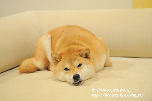 2010年3月_a0126590_23484367.jpg