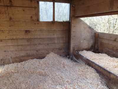 鶏小屋のお掃除_f0106597_19222451.jpg