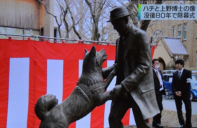 「ハチと上野博士の像」そして、ハチさん_c0124100_2122127.jpg