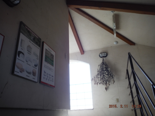 d0281110_17565926.jpg