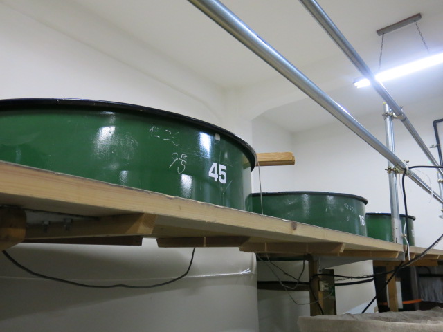 c0203111_22391667.jpg