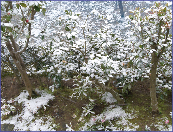 ３月１０日　朝　目を覚ますと　雪景色_e0081525_10153960.jpg