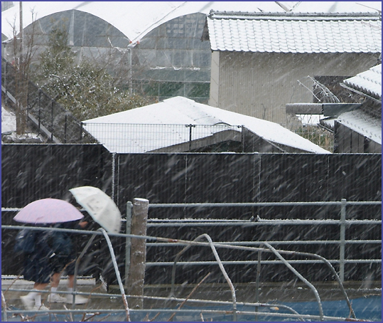 ３月１０日　朝　目を覚ますと　雪景色_e0081525_10155642.jpg