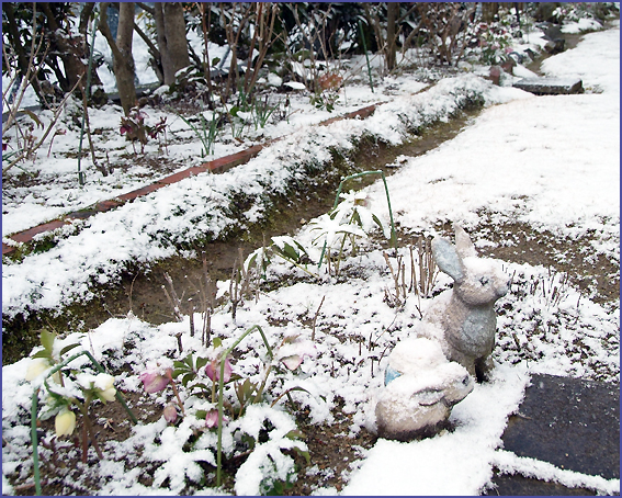 ３月１０日　朝　目を覚ますと　雪景色_e0081525_1016116.jpg