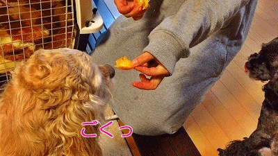 f0326925_23085933.gif