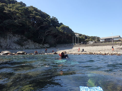 2015年3月10日(火・晴れ)宍喰・竹ヶ島_d0164831_15292260.jpg