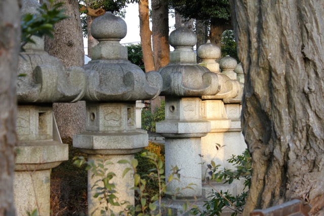 f0348831_07574246.jpg