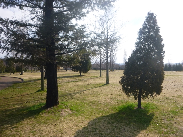 c0113733_0454315.jpg