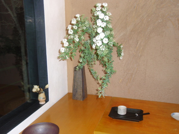 越智伸明陶展 明日からです_b0132442_18582182.jpg