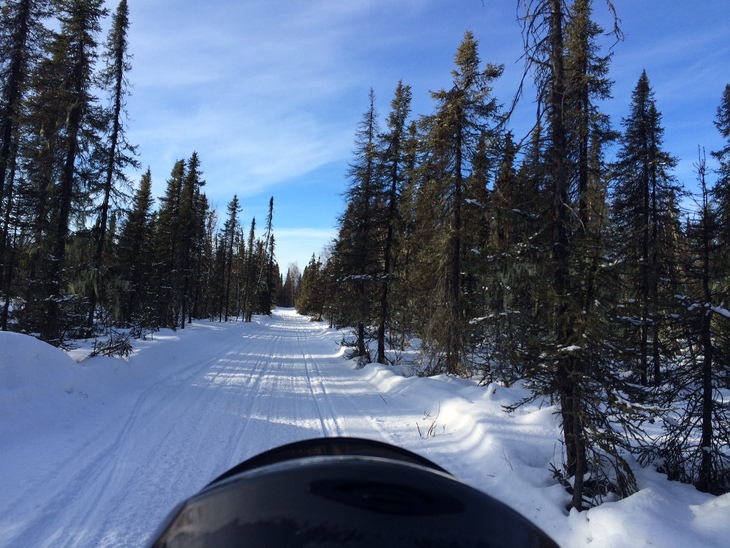 アラスカ鉄道の旅。 アンカレッジからタルキートナへ 番外編 その1_b0135948_652023.jpg