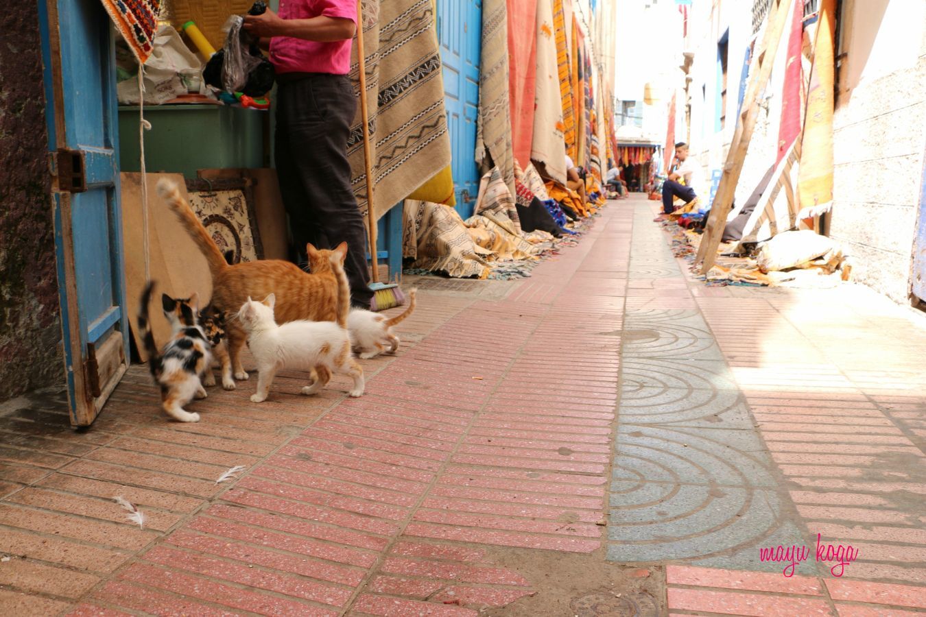 猫おじさん登場!_e0255060_01510719.jpg